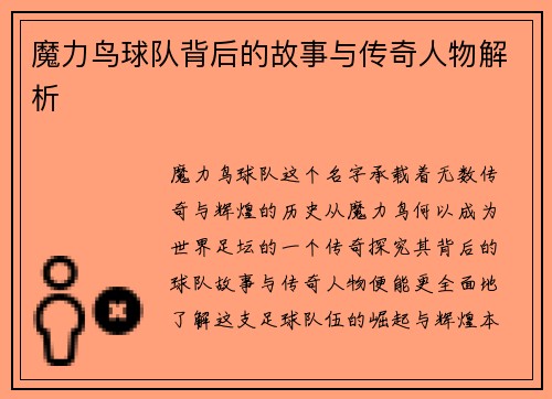 魔力鸟球队背后的故事与传奇人物解析 魔力鸟球队背后的故事与传奇人物解析
