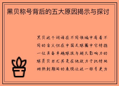 黑贝称号背后的五大原因揭示与探讨